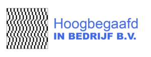 Hoogbegaafd in Bedrijf